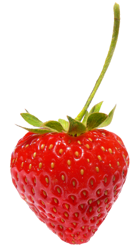 Source photo: Juicy strawberry