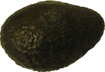 Source photo: Avocado