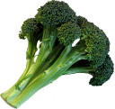 Source photo: Broccoli
