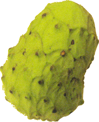Source photo: Cherimoya