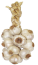 Source photo: Garlics