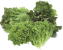 Source photo: Lettuce