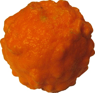 Source photo: Orange seville