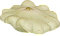 Source photo: Pattypan squash