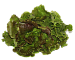 Source photo: Red lettuce