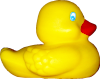 Source photo: Rubber duck
